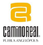 Camino Real