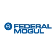 Federal Mogul